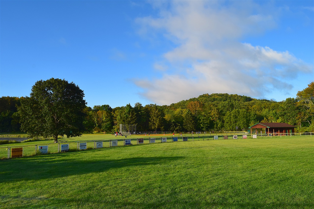 Image - field sunrise green grass sky