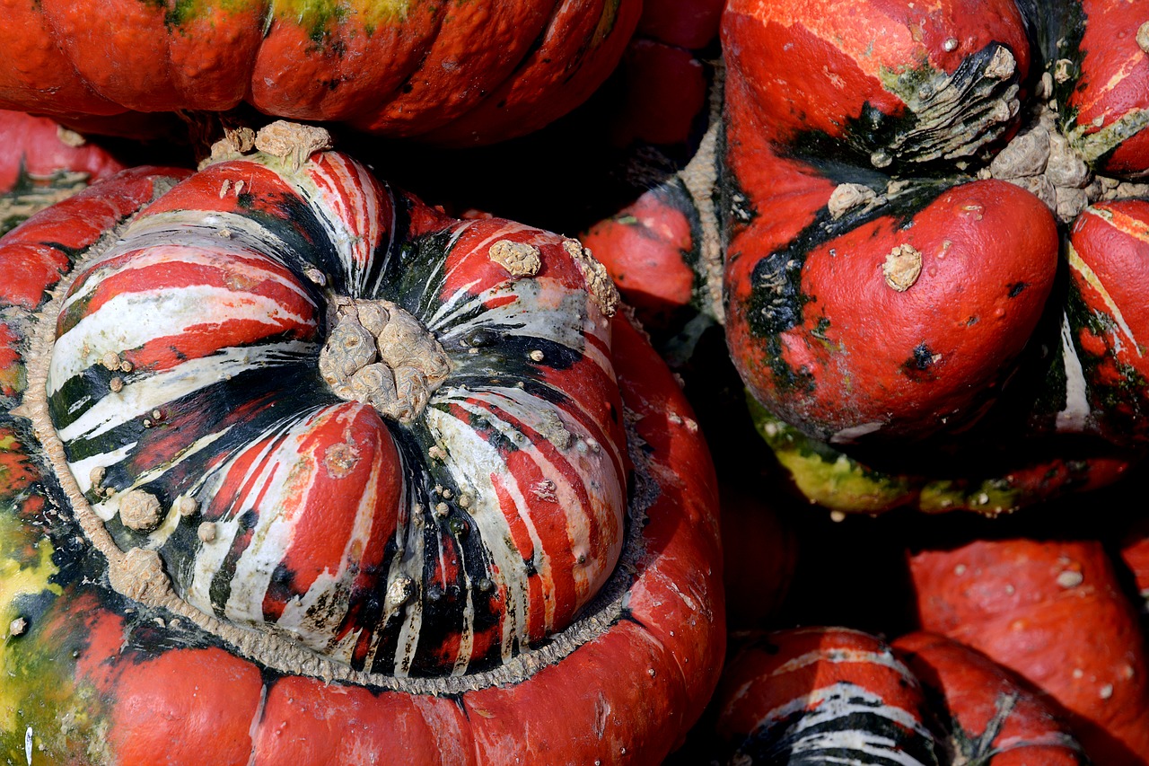 Image - pumpkin gourd bishop s cap autumn