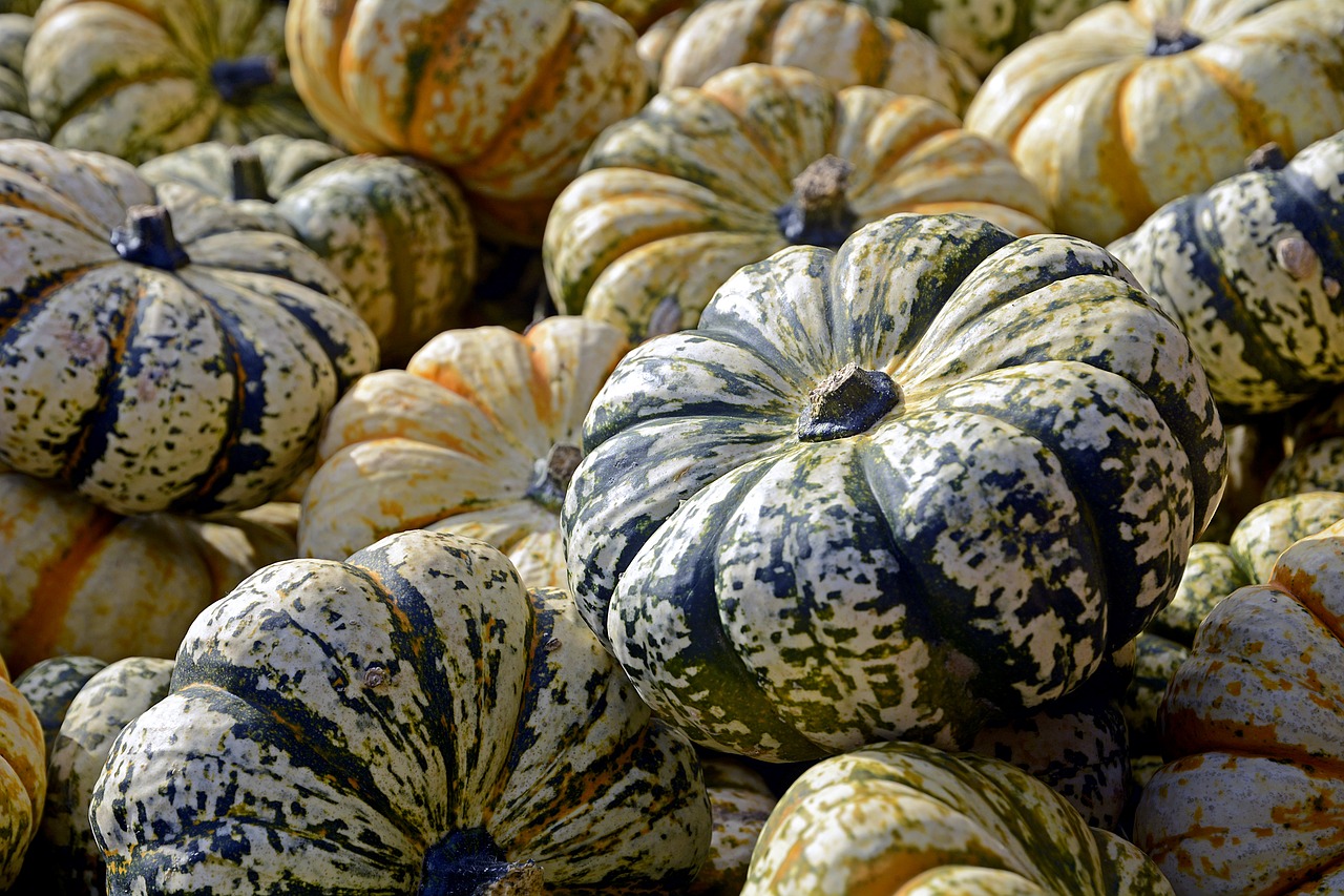 Image - pumpkin gourd autumn thanksgiving