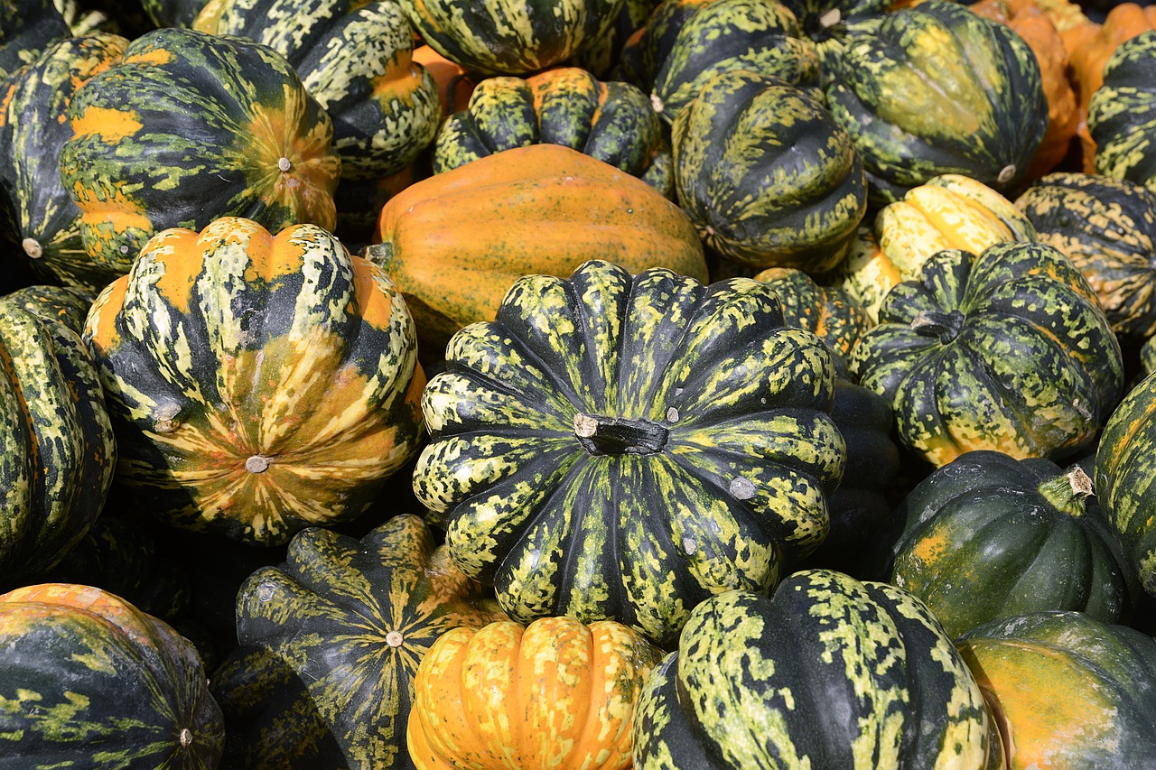 Image - pumpkin gourd autumn thanksgiving