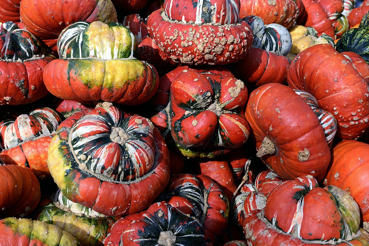 Image - pumpkin gourd bishop s cap autumn