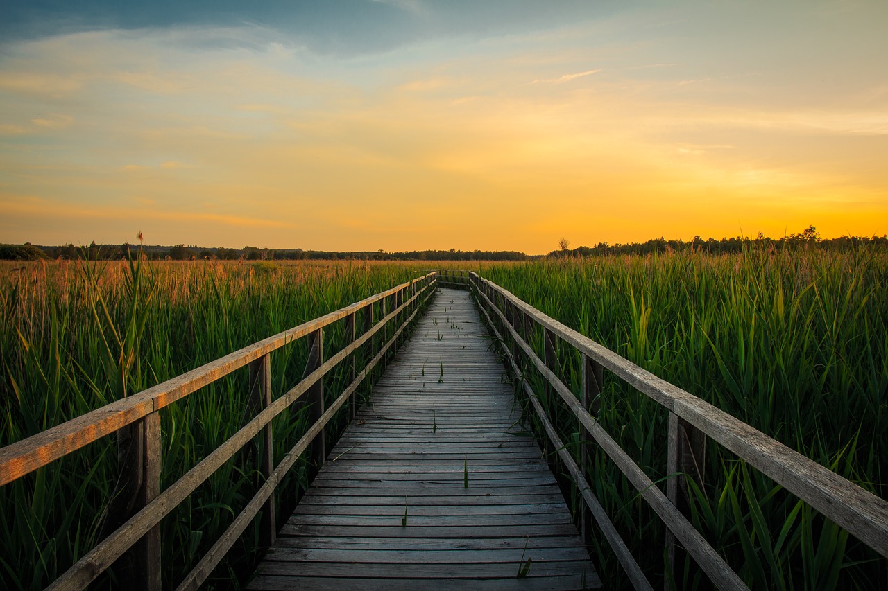 Image - sunset spring lake bad buchau