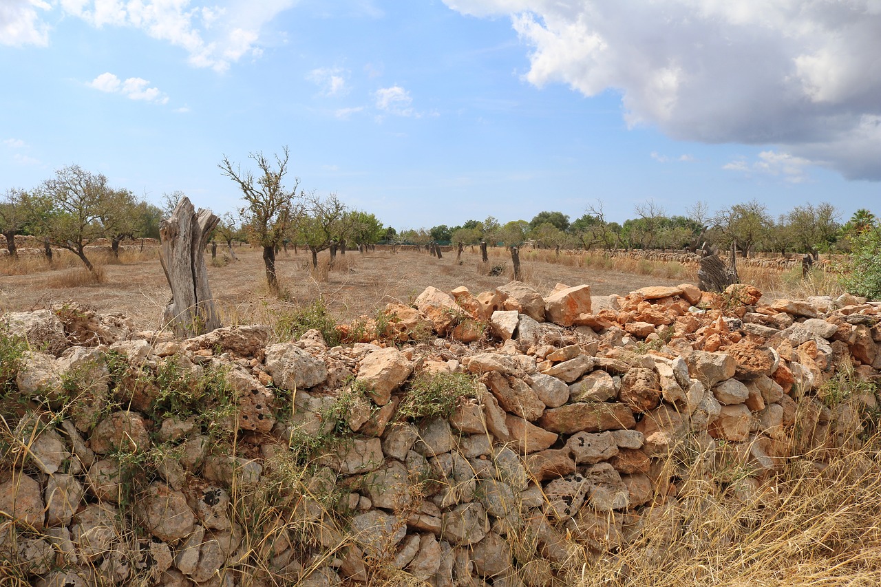 Image - mallorca landscape stone wall