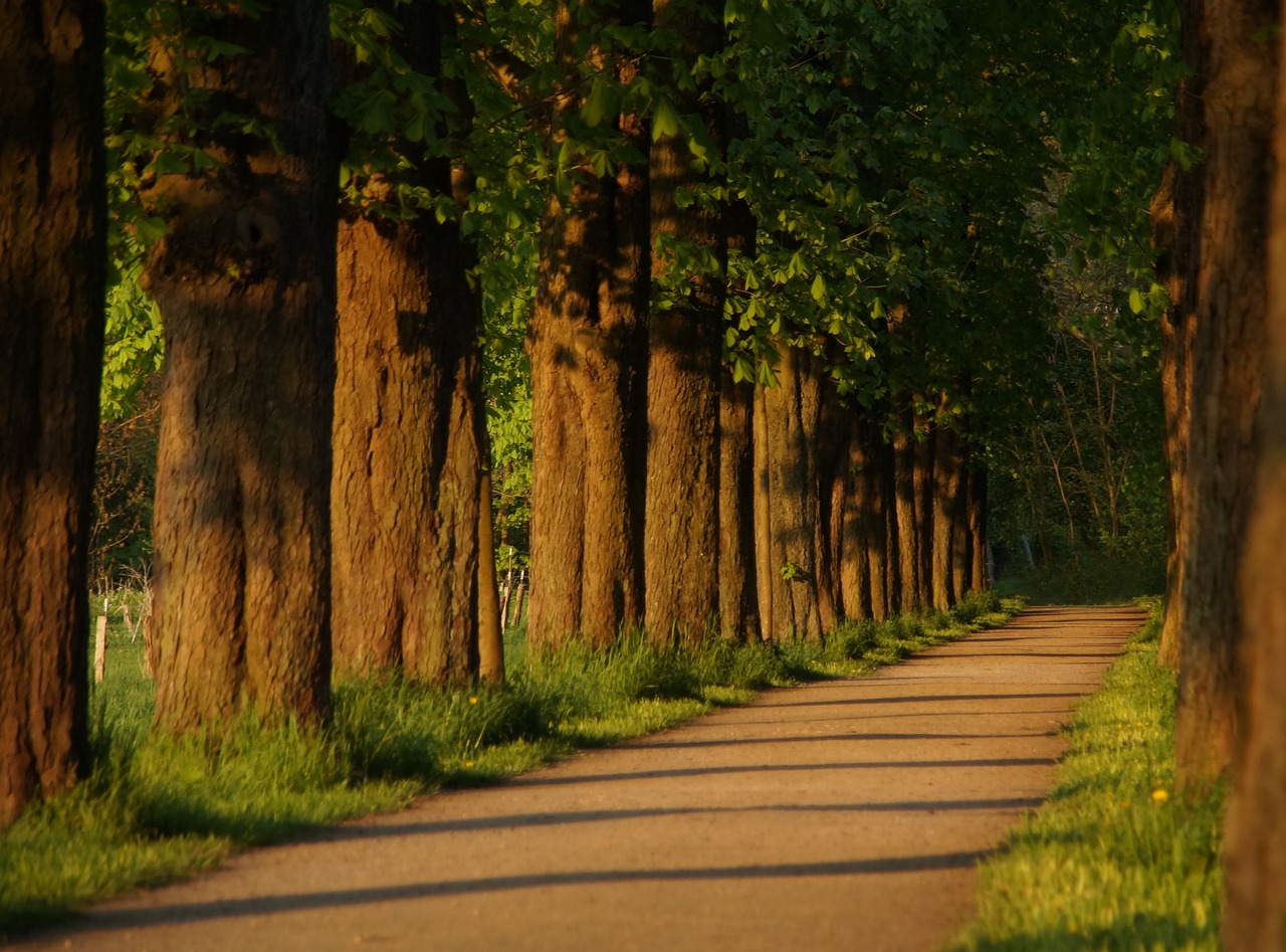 Image - away avenue chestnut walk