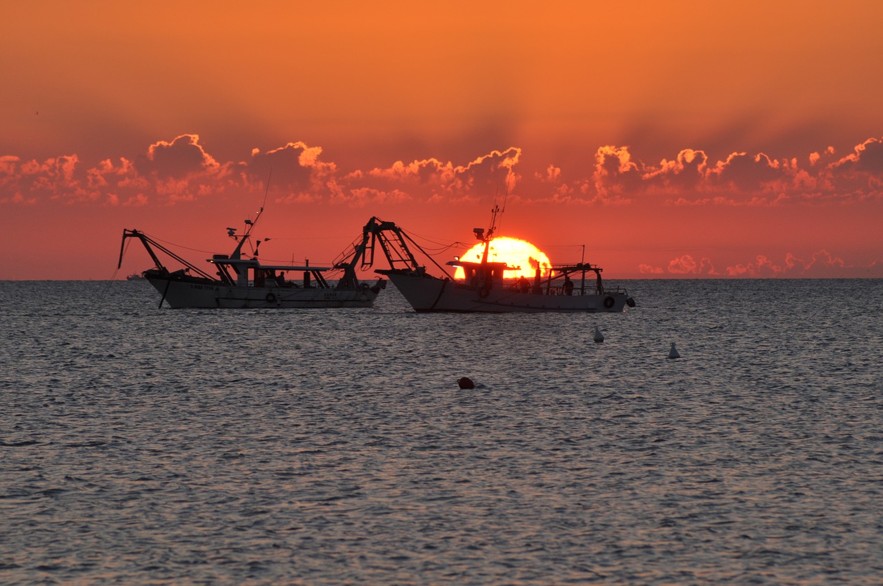 Image - dawn fishing vessels sea boats