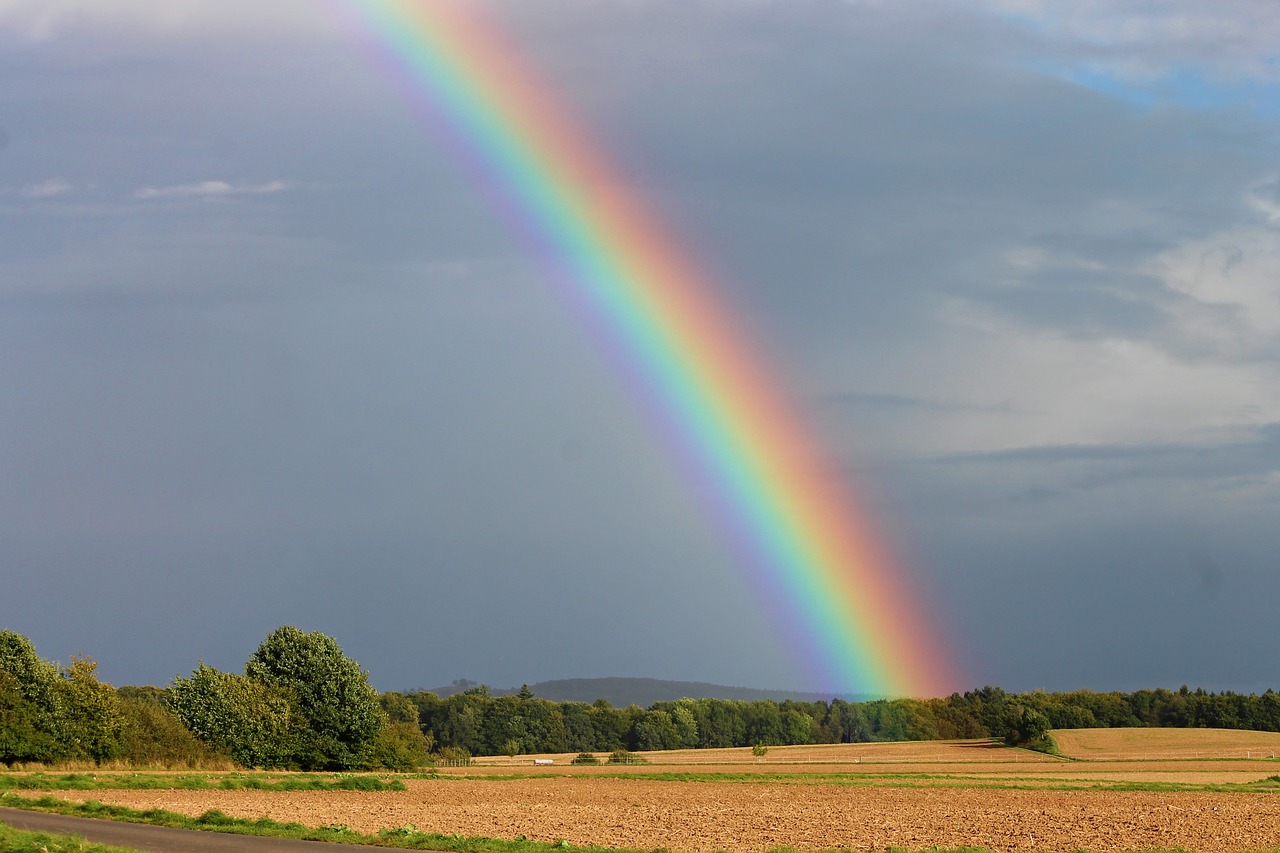 Image - rainbow sky fields rainbow colors