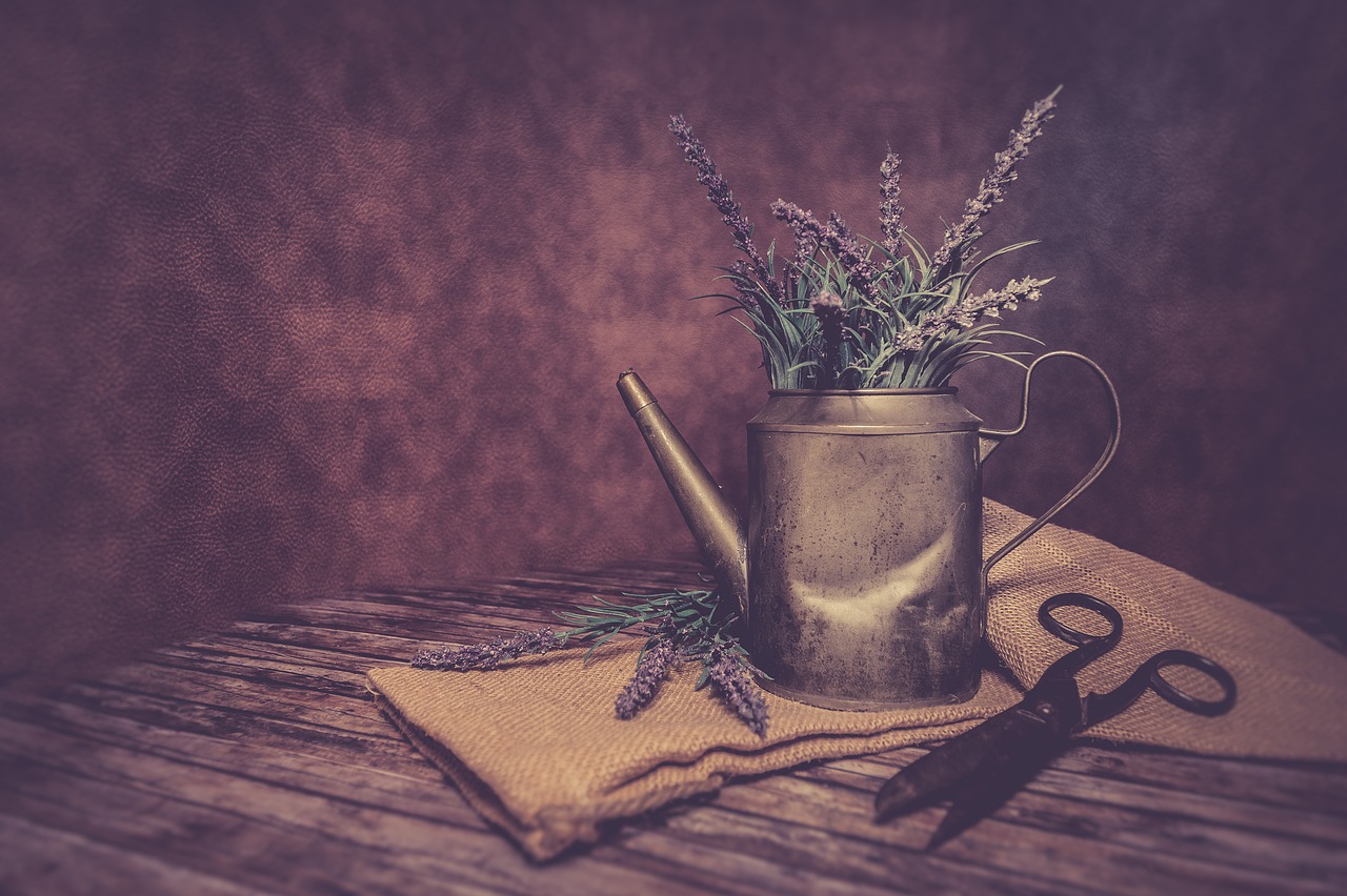 Image - still life vintage scissors heide
