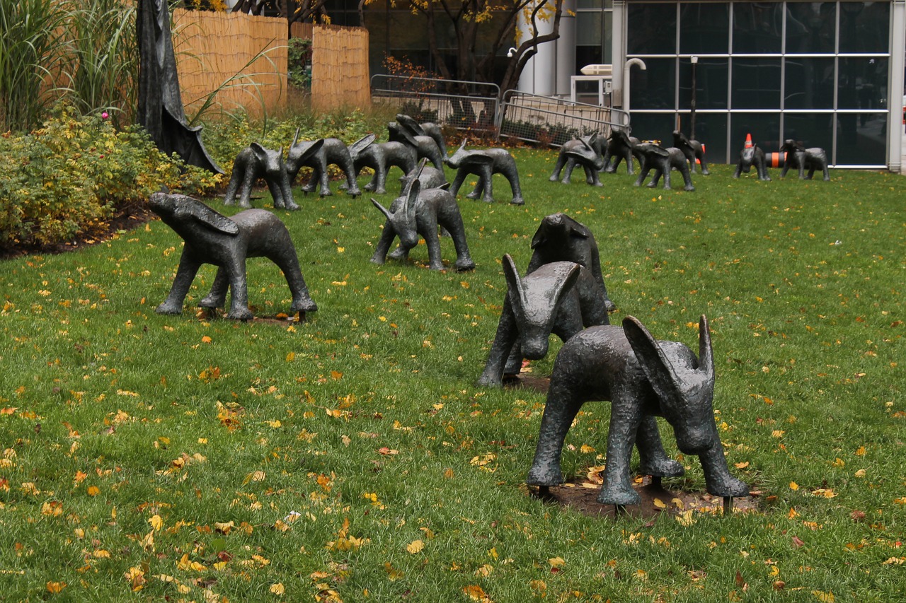 Image - art toronto canada city grass