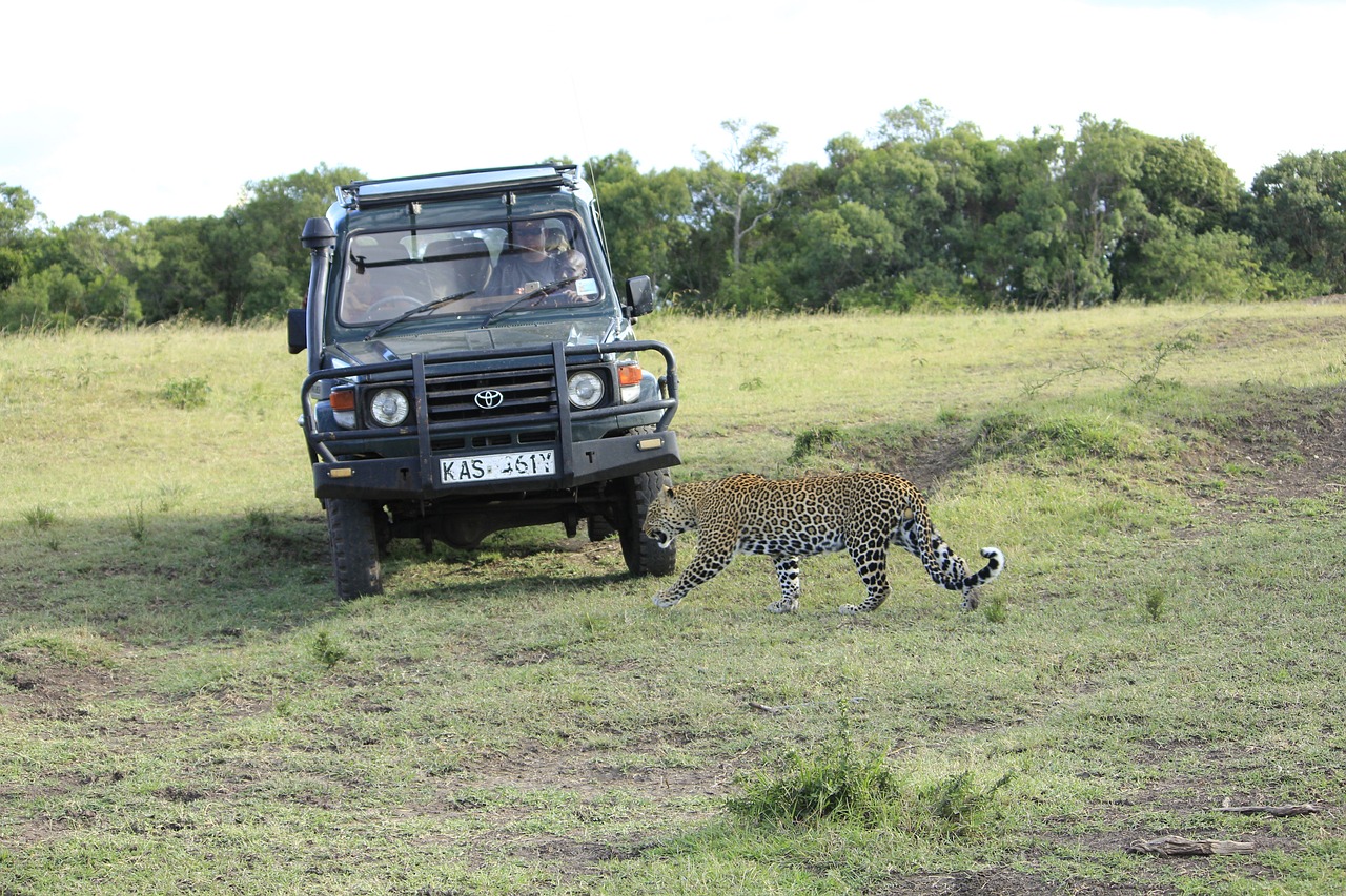 Image - masai mara kenya africa safari