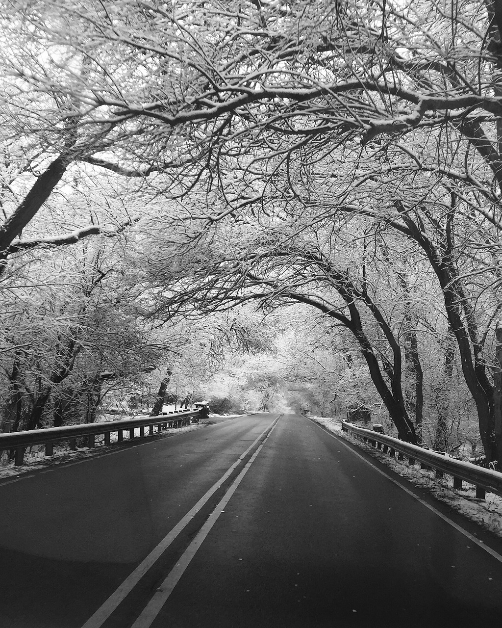 Image - winter road black and white snow