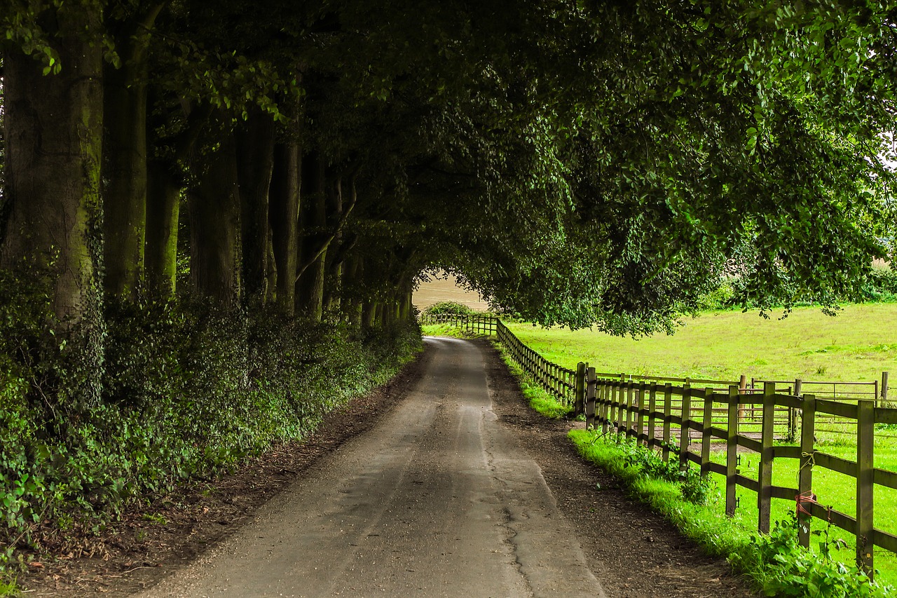 Image - path farm nature england