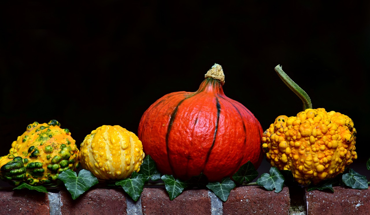 Image - pumpkin gourd hokkaido yellow