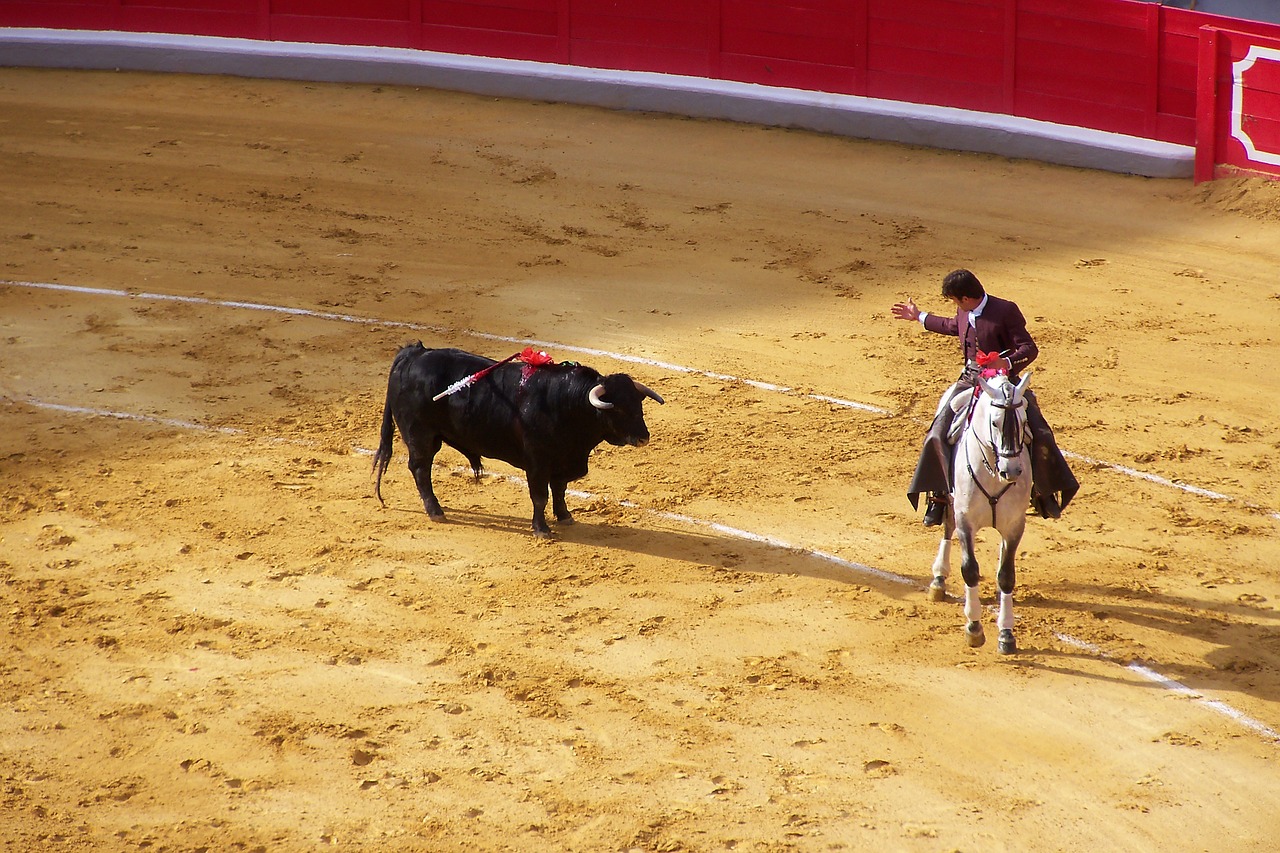 Image - corrida arena bull