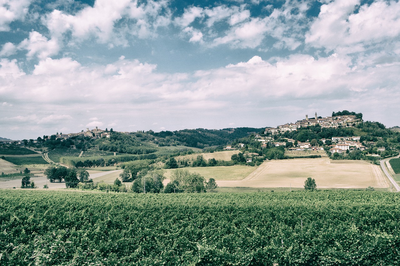 Image - wine vineyard grapes hills vintage