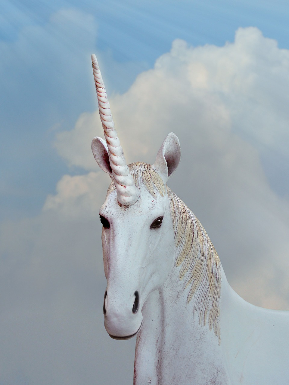 Image - unicorn fantasy animal fantasy