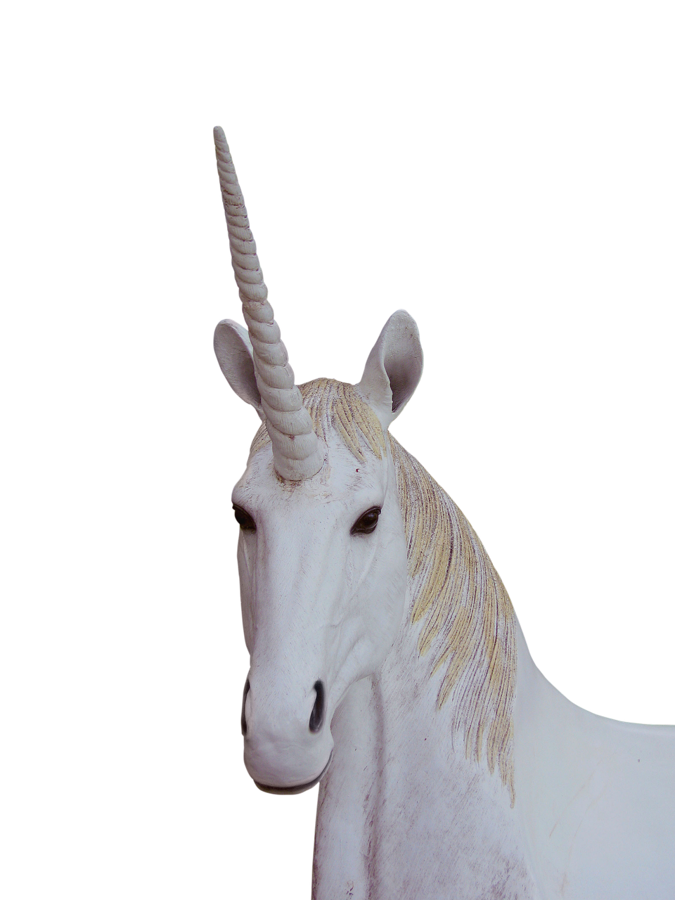 Image - png unicorn animal magic fantasy