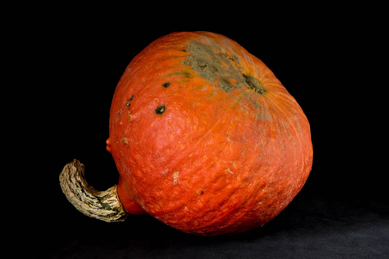 Image - squash orange vegetables produce