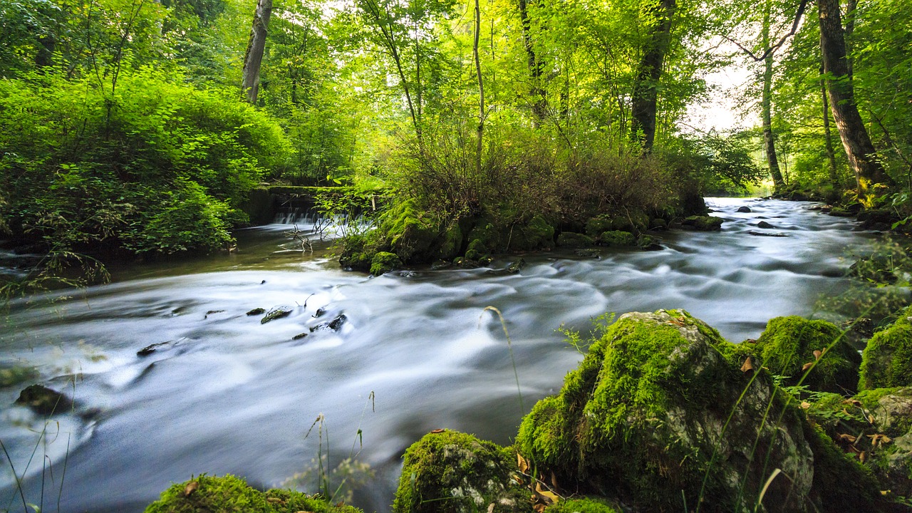 Image - river krauchenwies prince park