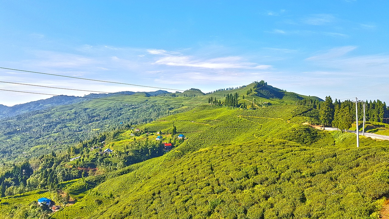 Image - kanyam ilam nepal heaven on earth