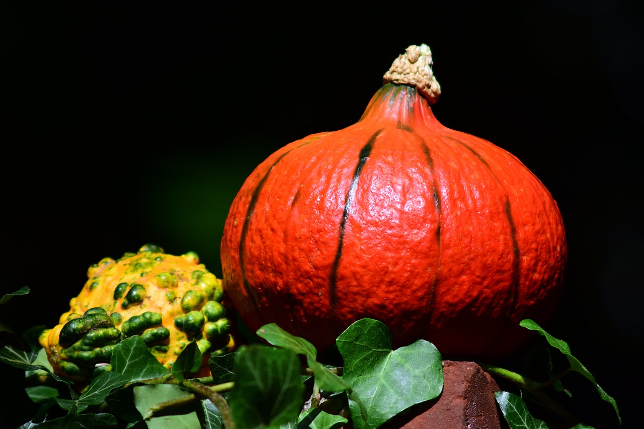 Image - pumpkin hokkaido orange vegetables