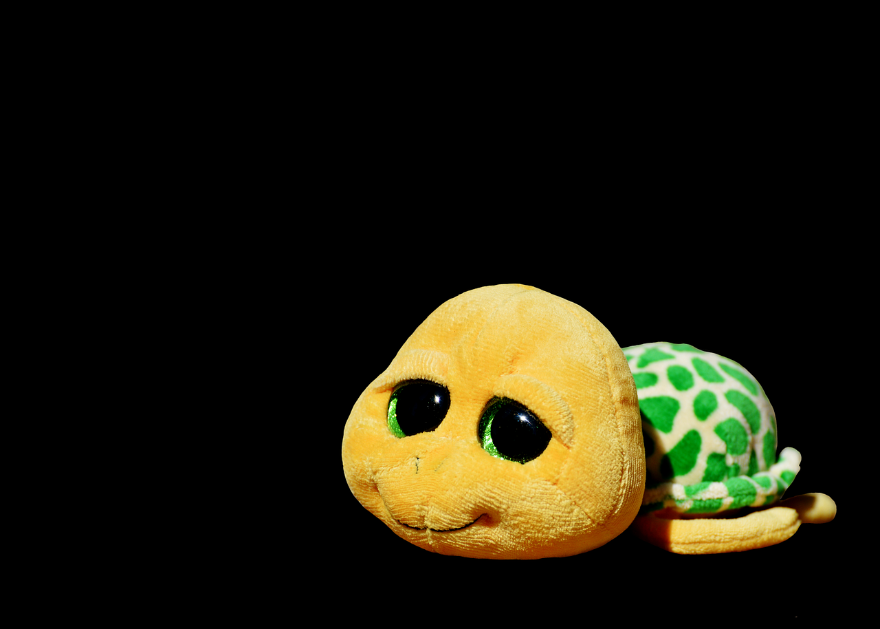 Image - turtle stuffed animal soft toy toys