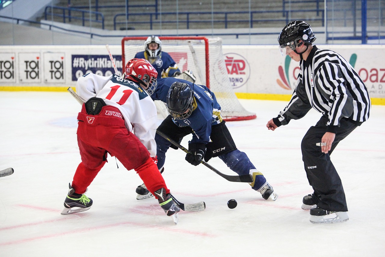 Image - hockey slavia skater hockey player