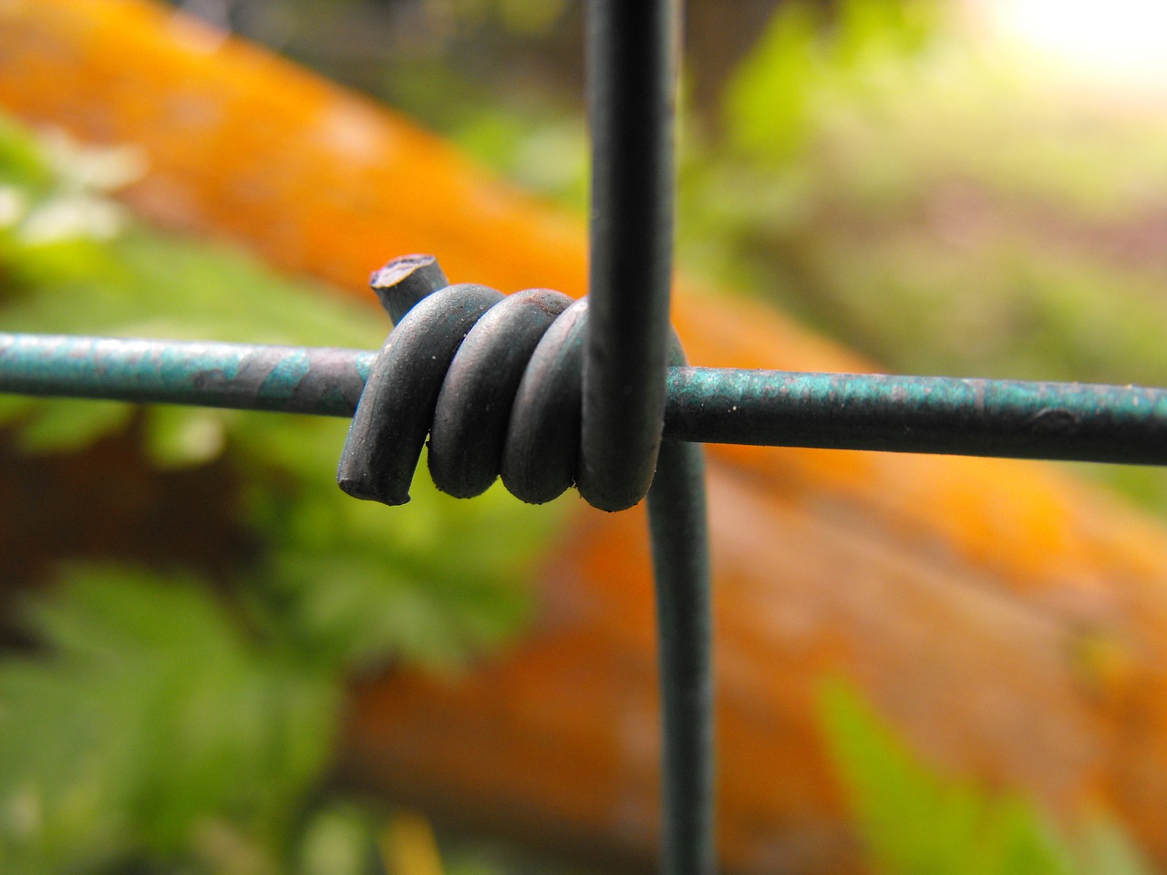 Image - wire fence macro timber moss