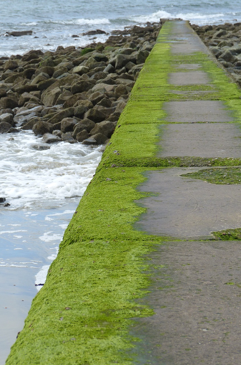 Image - breakwater beach sea borkum