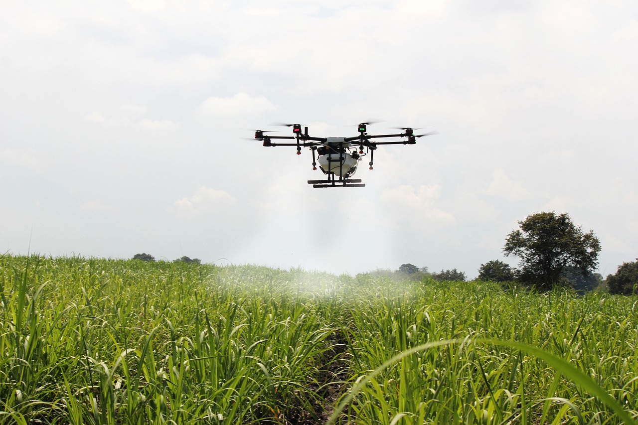 Image - spraying sugar cane sugar cane