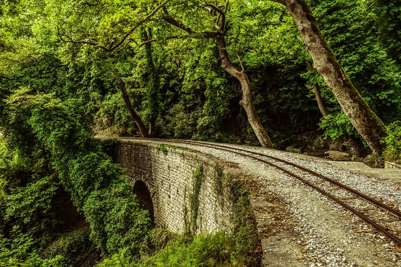 Image - rails bridge trees nature railway