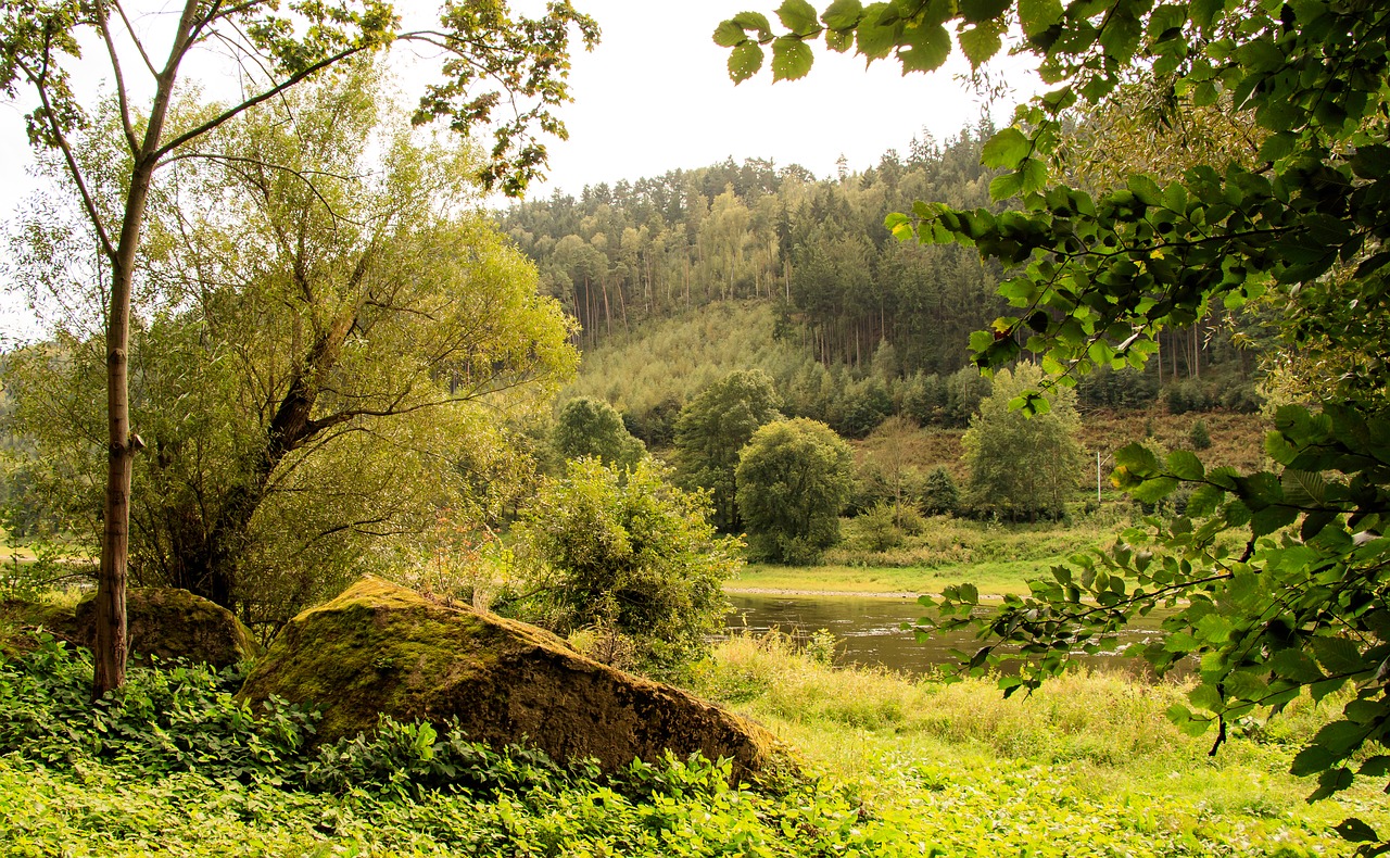 Image - elbe elbe valley nature landscape