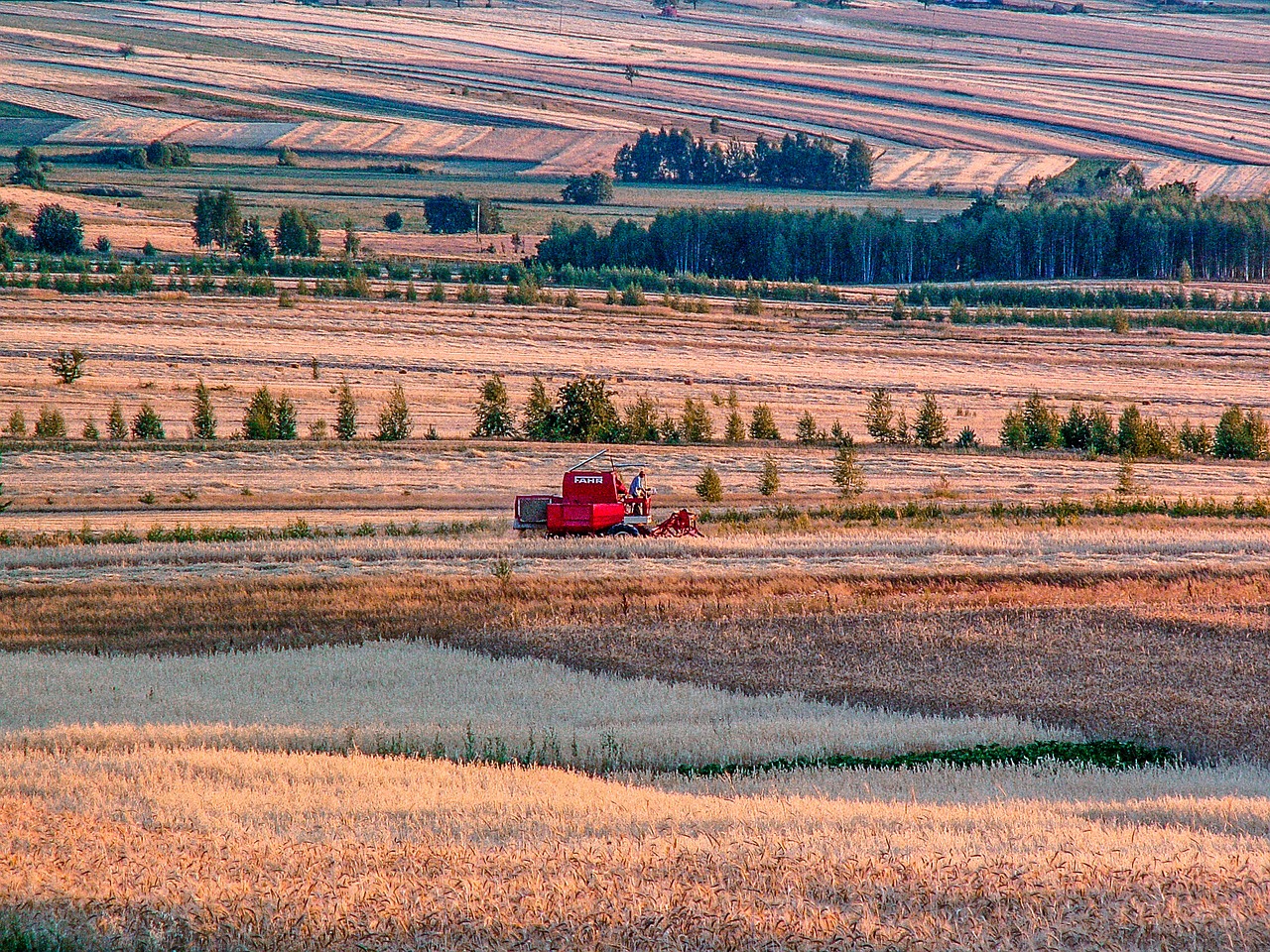 Image - village harvest corn straw field