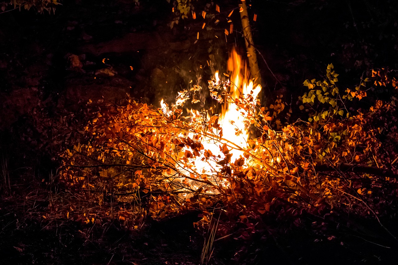 Image - koster night camping halt fire