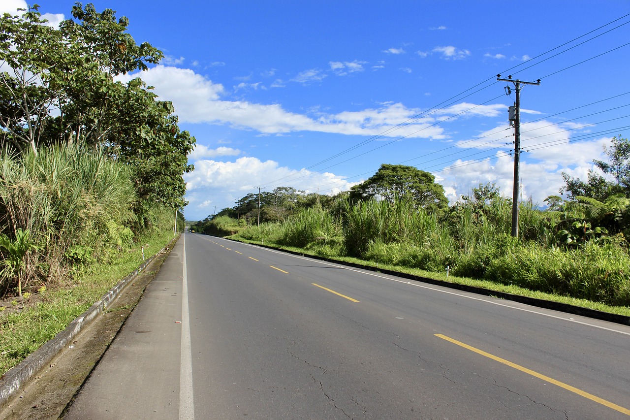 Image - road rainforest tropical travel