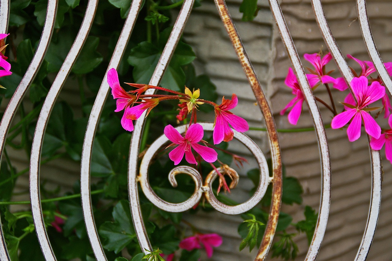 Image - background grid flowers