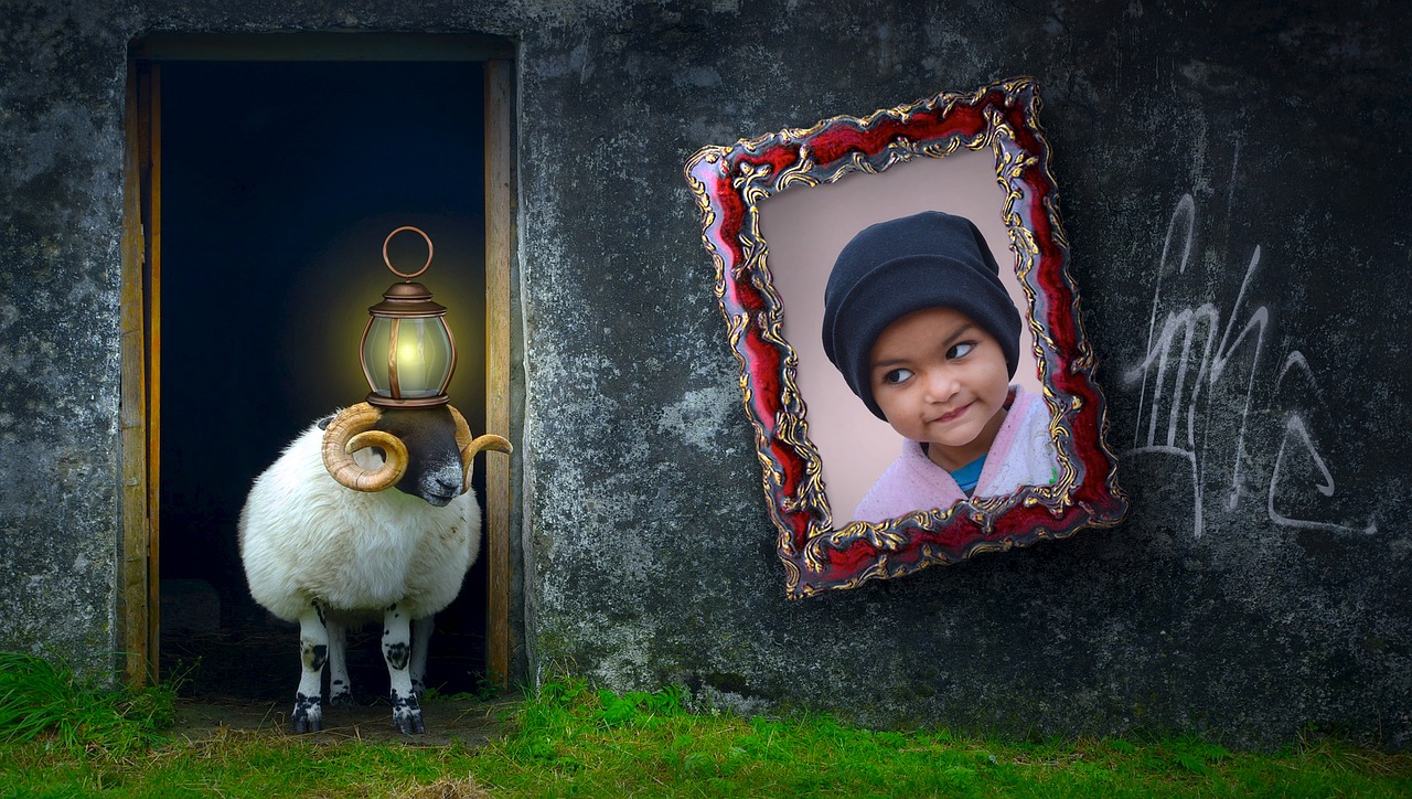 Image - composing sheep animal door home