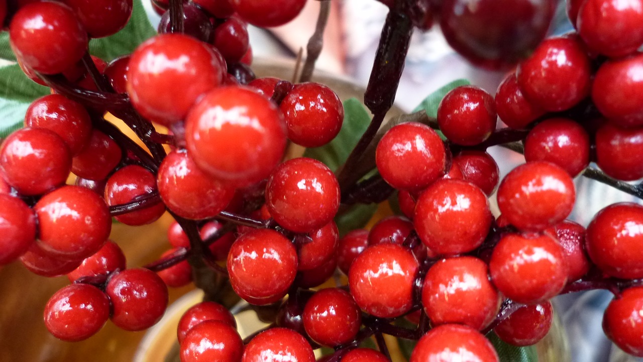Image - berry red bush shiny decorative