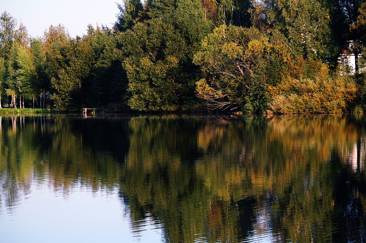 Image - autumn lake beauty forest