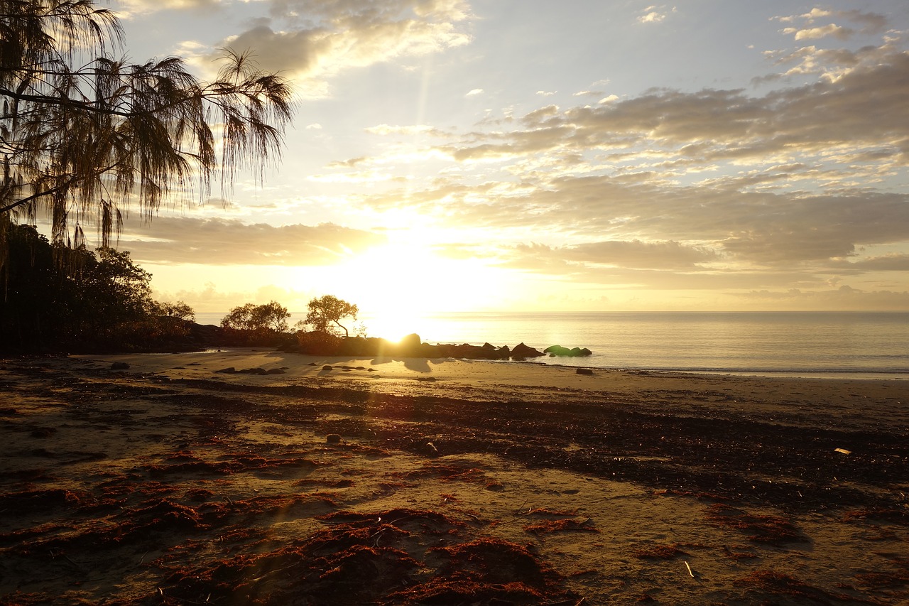 Image - nature australia port douglas