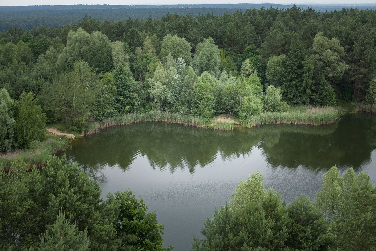 Image - lakes tree water view poland