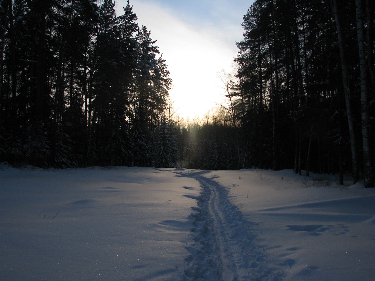 Image - winter forest trails sky