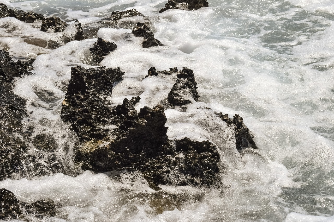 Image - foam wave coast sea shore rock