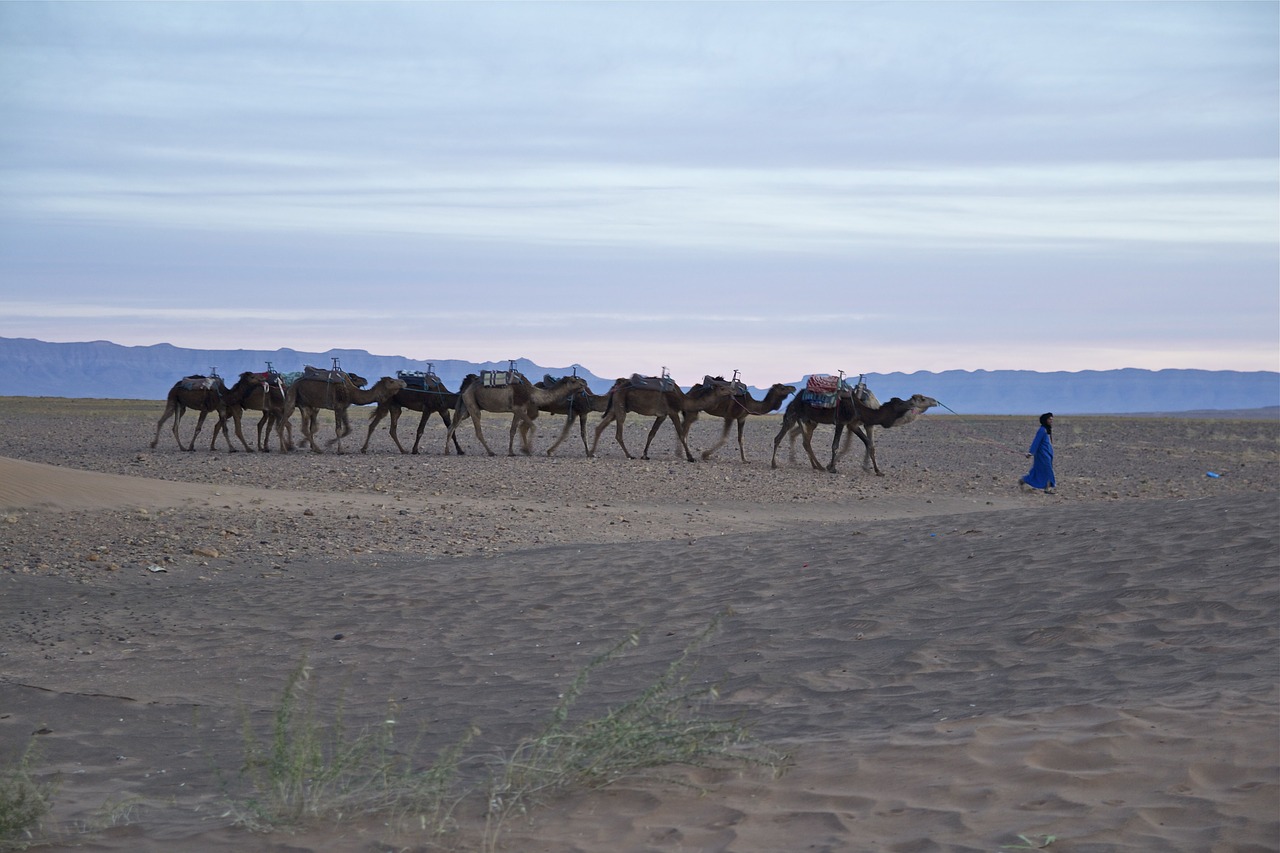 Image - morocco desert nature landscape