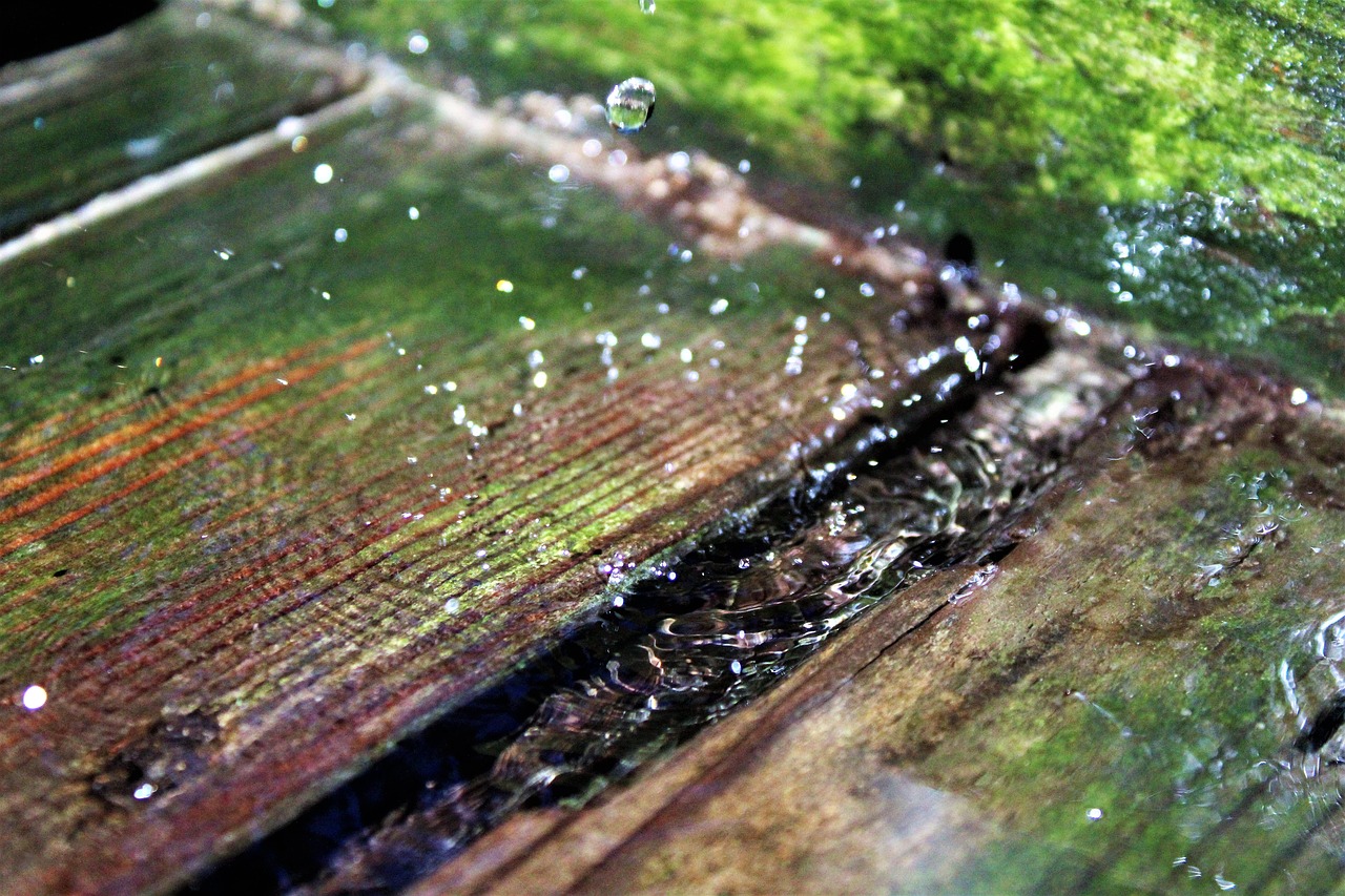 Image - drop of water wood summer nature