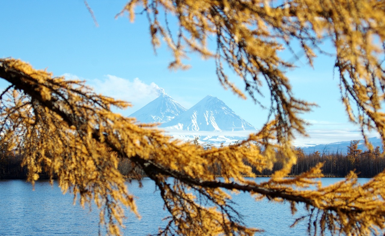 Image - autumn volcanoes larch branch