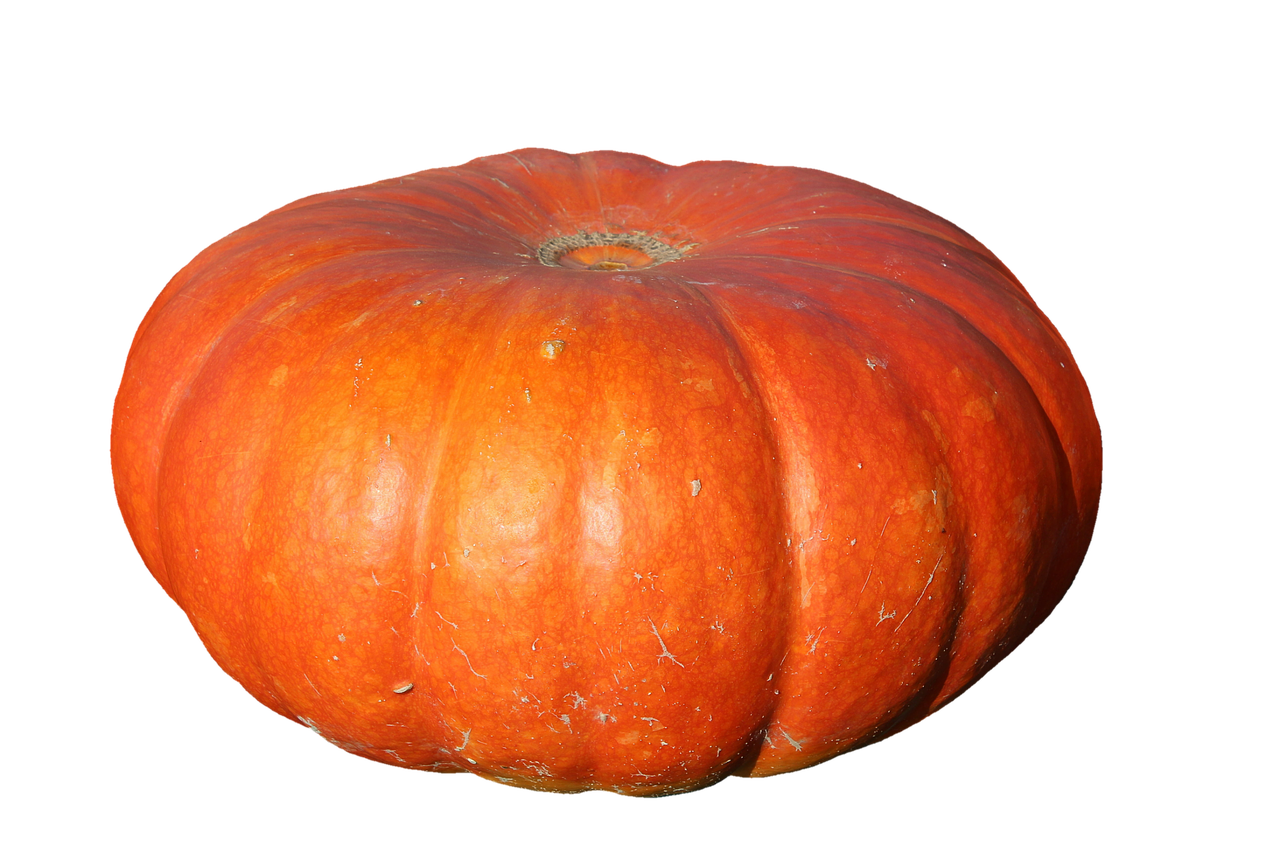 Image - pumpkin fruit orange autumn