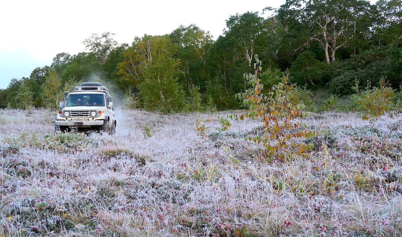 Image - the first frost early autumn