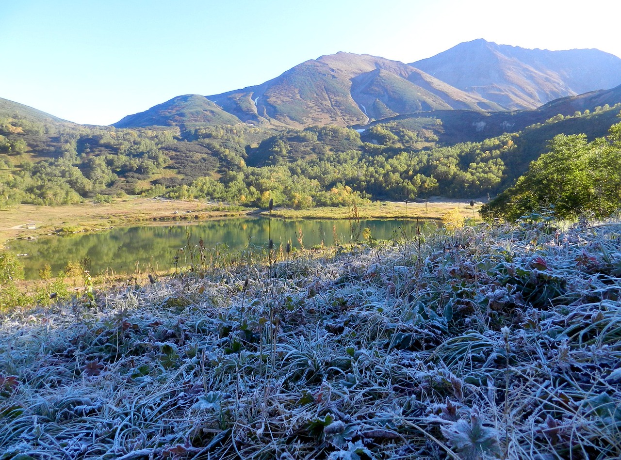 Image - the first frost early autumn