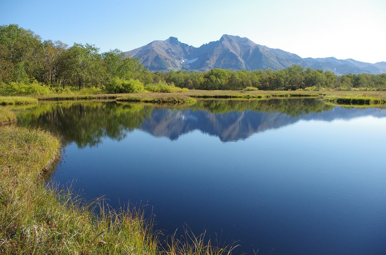 Image - forest lake mountains forest nature