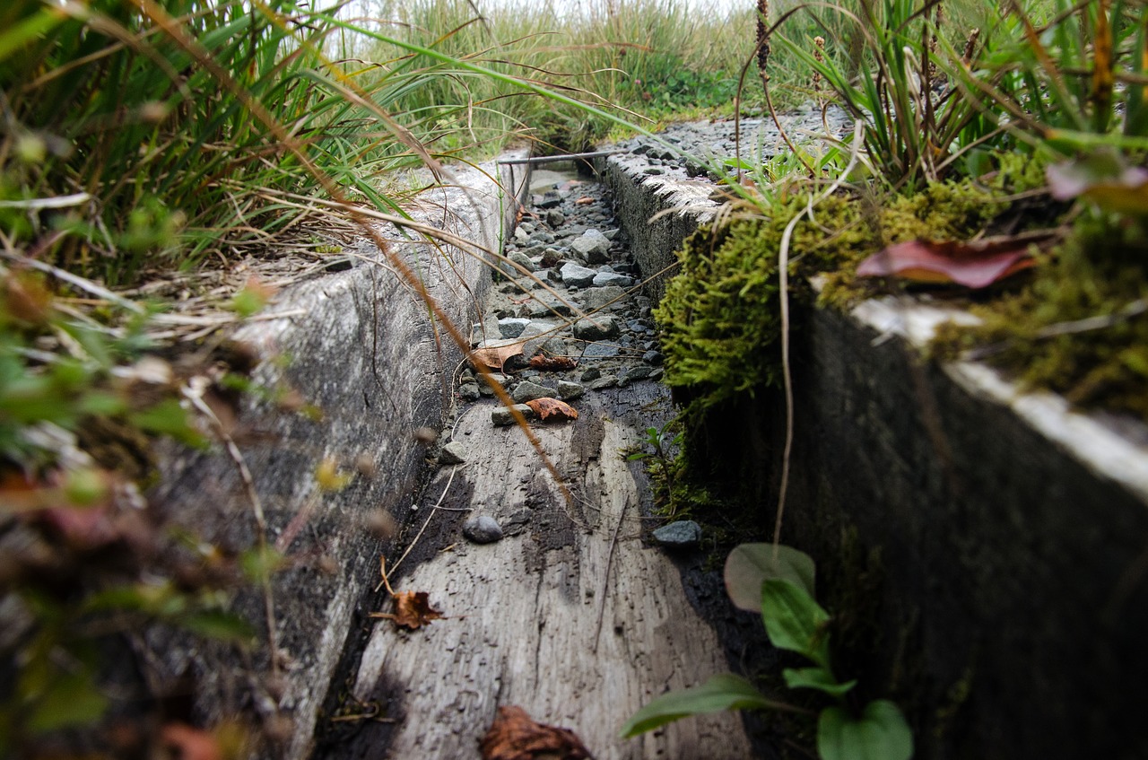 Image - gutter wood water rain grass old